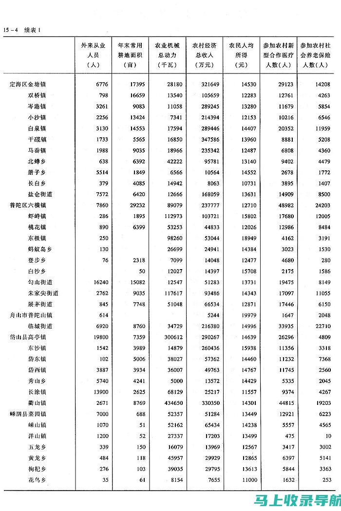 解析乡统计站长岗位职责：助力乡村振兴的重要一环